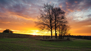 Sunset tree bench field ruins - a sunset free wallpaper for desktop