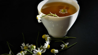 Tea flower daisies art photography - a bunch of daisies free wallpaper