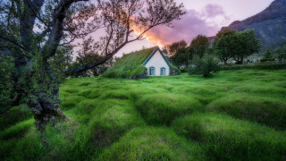Grass house tree sunset pink - a pink sky free wallpaper