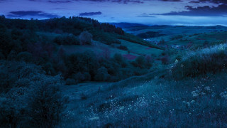 Dark blue sky mountains moon - a few tree and bushes free wallpaper for desktop