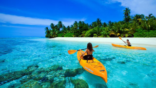 Couple kayaks beach palm trees - a white sand beach free wallpaper