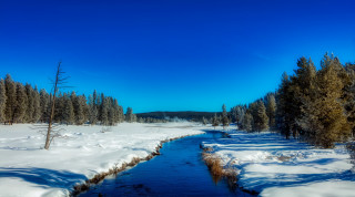 Snowy forest stream blue sky - tree and snow covered ground free wallpaper