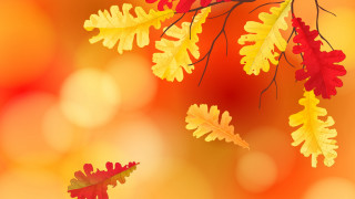 Autumn leaves blurry background campfire - autumn free wallpaper for desktop