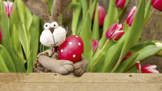 Stuffed rabbit red heart wooden 2 - a wooden box free wallpaper