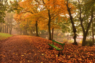 Bench leaf path river park - all free wallpaper