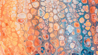 Colorful shapes wall generative microscopic - different color and shapes free wallpaper for desktop