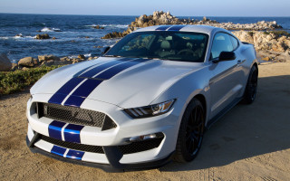 White blue mustang beach ocean - a person in the background free wallpaper