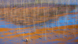 Man field poles blue sky - chen chun free wallpaper