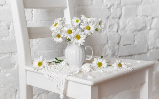 White vase daisies floral still - a white table cloth free wallpaper