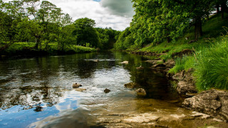 River rocks trees clouds nature - a few cloud free wallpaper for desktop