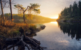 Lake forest sunset magic realism - a few cloud free wallpaper for desktop