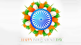 Colorful indian flag wheel flowers - processed free wallpaper