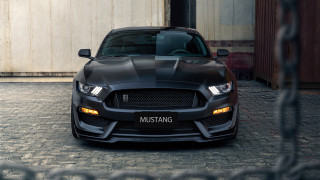 Black mustang building chainlink fence - eleanor best free wallpaper