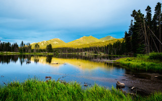 Lake mountains trees birds ducks 3 - the water and grass free wallpaper