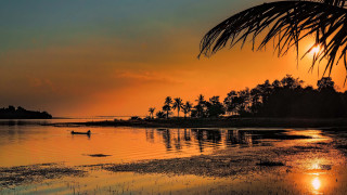 Sunset water palm trees boat - the water and palm trees free wallpaper
