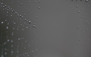 Spider web water drops night 2 - surface free wallpaper