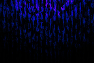 Black purple water droplets blue - free neon wallpaper for desktop