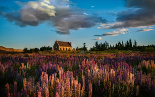 Flower field house clouds impressionist - flora macdonald reid free wallpaper for desktop