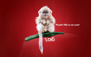 Monkey owl rooster feathers red - a white line free wallpaper