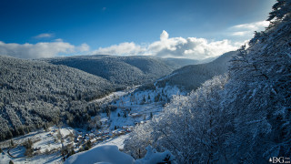 Snowy mountain valley forest blue - les nabis free wallpaper