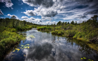 River lake forest nature sky - a swampy area free wallpaper