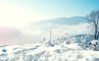 Skiing winter landscape mountains trees 2 - ski free wallpaper