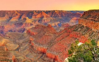 Canyon cliff tree autumn fire - tall free wallpaper