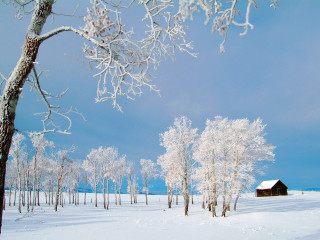 Snowy landscape cabin trees blue - free winter wallpaper