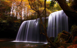 Waterfall tree stream fall foliage - fall foliage free wallpaper