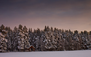 Snowy cabin forest autumn sunset 2 - a snowy field free wallpaper