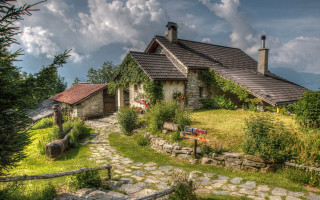 House stone pathway garden forest - the house free wallpaper for desktop
