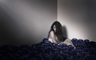 Purple flower sitting elfsa milky - surreal photography free wallpaper for desktop