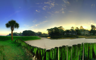 Green fence lake house palm - a palm tree in the background free wallpaper for desktop