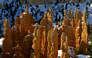 Tall rocks snow mountain forest - bracha l. ettinger free wallpaper