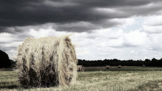 Hay bail field cloudy sky - stormy weather free wallpaper