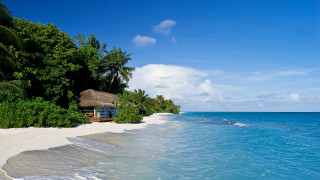 Beach hut shore water trees 2 - a hut free wallpaper