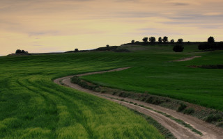 Dirt road green field hill 2 - arthur b. carles free wallpaper