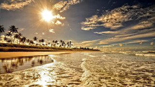 Beach waves palm trees sunny - the cloud and the sun free wallpaper