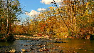 Autumn river forest rocks fallen - fallen free wallpaper