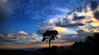 Silhouetted tree cloudy sky sunset 2 - colorful cloud free wallpaper