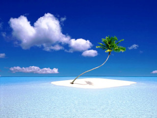 Lone palm tree island ocean - an island in the middle of the ocean free wallpaper