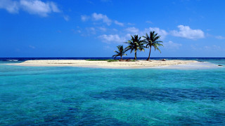 Island palm tree ocean boat - the middle of the ocean free wallpaper