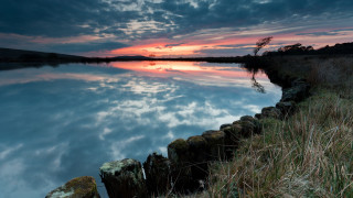 Lake fence clouds trees dusk - photograph free wallpaper for desktop