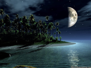 Full moon tropical island night - dreamlike free wallpaper for desktop