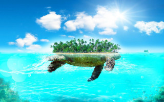 Turtle swimming ocean island back - a turtle swimming in the ocean free wallpaper