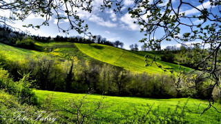 Green field trees hill clouds - tree and a hill in the background free wallpaper
