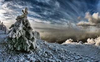 Snow covered tree hill cloudy - cloud above free wallpaper