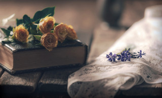 Book flowers lace bouquet stilllife - top of it next free wallpaper