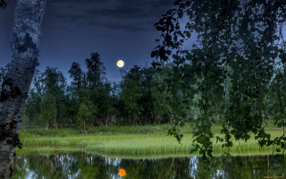Full moon forest pond night - a full moon in the distance free wallpaper