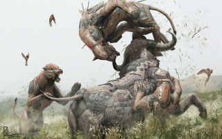 Couple animals grass birds attack - a couple of animals free wallpaper